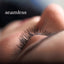 Classic - Lash Compact